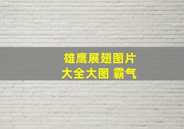 雄鹰展翅图片大全大图 霸气